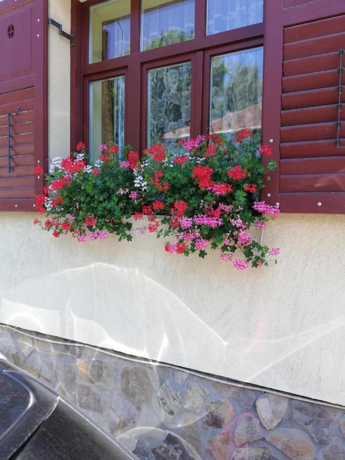 Apartament Roza Brasov Bagian luar foto