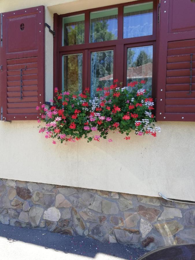 Apartament Roza Brasov Bagian luar foto