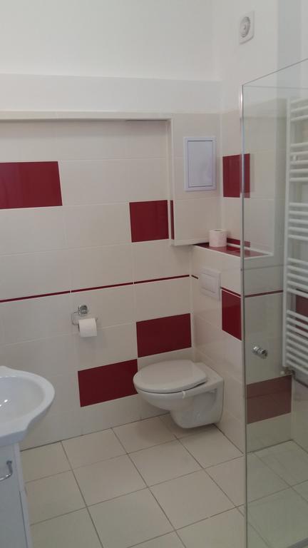 Apartament Roza Brasov Bagian luar foto