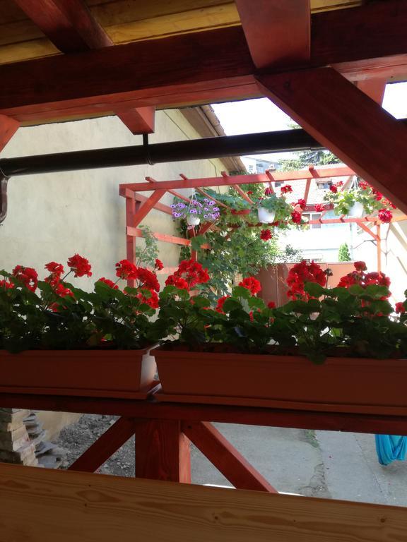 Apartament Roza Brasov Bagian luar foto