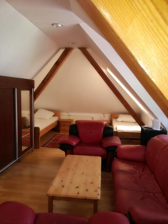 Apartament Roza Brasov Bagian luar foto