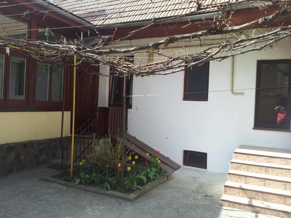 Apartament Roza Brasov Bagian luar foto