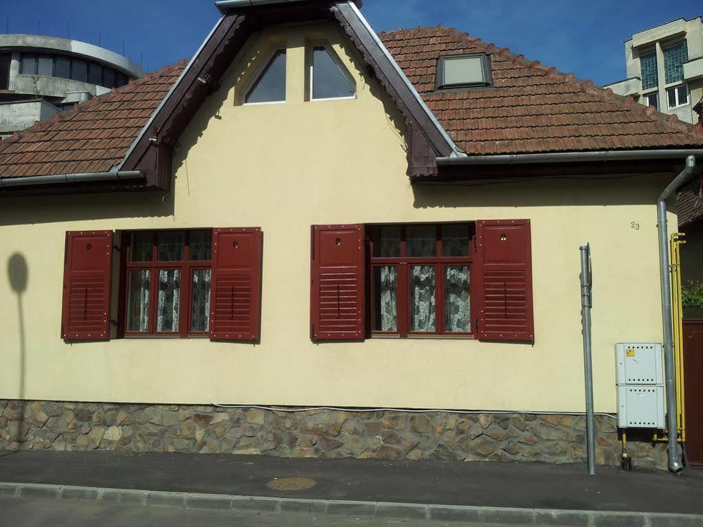 Apartament Roza Brasov Bagian luar foto